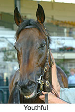 Youthful (14872 bytes)