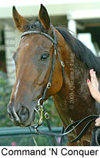 Command 'n Conquer (14872 bytes)