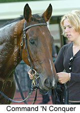 Command 'n Conquer (14872 bytes)