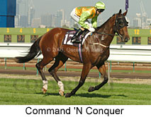 Command 'n Conquer (14872 bytes)