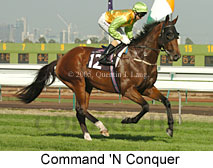 Command 'n Conquer (14872 bytes)