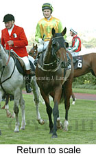 Return to scale (15361 bytes)