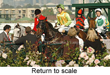 Return to scale (15361 bytes)