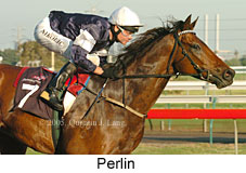 Perlin (14872 bytes)