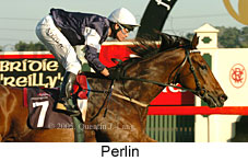 Perlin (14872 bytes)