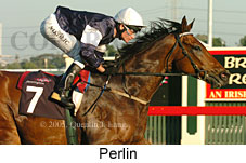 Perlin (14872 bytes)