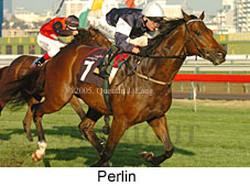 Perlin (14872 bytes)