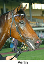 Perlin (14872 bytes)