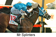 Mr Splinters (14872 bytes)