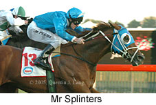 Mr Splinters (14872 bytes)