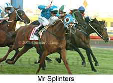 Mr Splinters (14872 bytes)