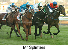 Mr Splinters (14872 bytes)