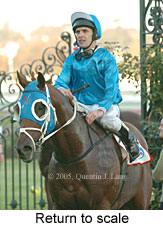 Return to scale (15361 bytes)