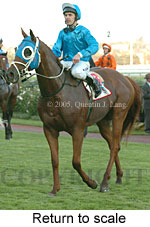 Return to scale (15361 bytes)