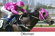 r2ottoman.jpg (10332 bytes)