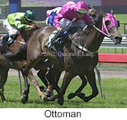 r2ottoman2.jpg (10148 bytes)