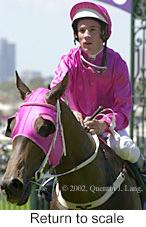 r2rtosc.jpg (10057 bytes)