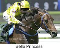 r3belleprincess.jpg (9652 bytes)