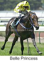 r3belleprincess2.jpg (9006 bytes)