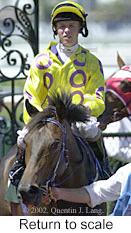 r3rtosc.jpg (10860 bytes)