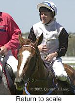 r4rtosc.jpg (9762 bytes)