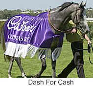 r5dashforcash4.jpg (11903 bytes)