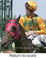 r6rtosc.jpg (10608 bytes)