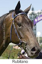 r6rubitano3.jpg (9116 bytes)