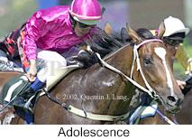 r7adolescence.jpg (10936 bytes)