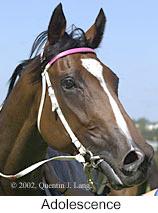 r7adolescence3.jpg (8912 bytes)