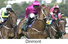 r8dinmont2.jpg (10733 bytes)