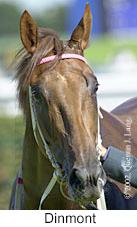 r8dinmont3.jpg (7875 bytes)