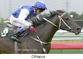 r2othapus.jpg (17343 bytes)