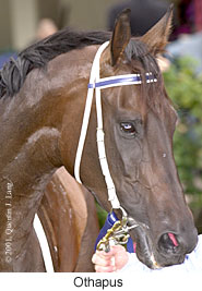 r2othapus2.jpg (16768 bytes)