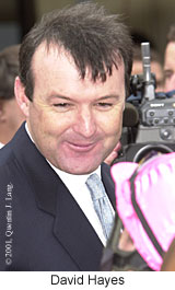 r3dhayes.jpg (13352 bytes)