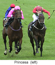 r3princesa.jpg (15583 bytes)
