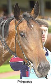 r3princesa2.jpg (15691 bytes)