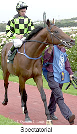 r4spectatorial.jpg (17827 bytes)