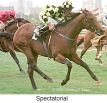 r4spectatorial2.jpg (17274 bytes)