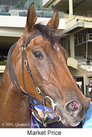 r5marketprice3.jpg (19059 bytes)