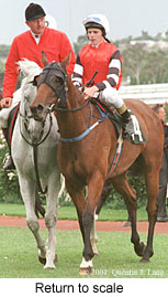 r5rtosc.jpg (17748 bytes)