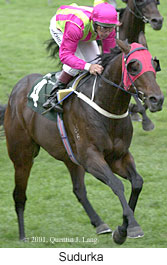 r6sudurka.jpg (17285 bytes)