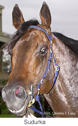 r6sudurka2.jpg (15905 bytes)