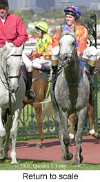 r7rtosc.jpg (18357 bytes)