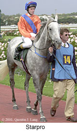 r7starpro.jpg (17793 bytes)