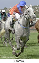 r7starpro2.jpg (16949 bytes)