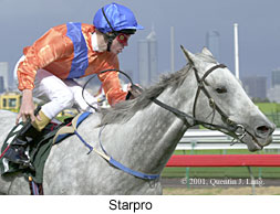 r7starpro3.jpg (17220 bytes)