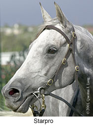 r7starpro4.jpg (14088 bytes)