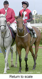 r8rtosc.jpg (16022 bytes)