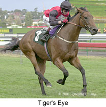 r8tigerseye.jpg (15281 bytes)